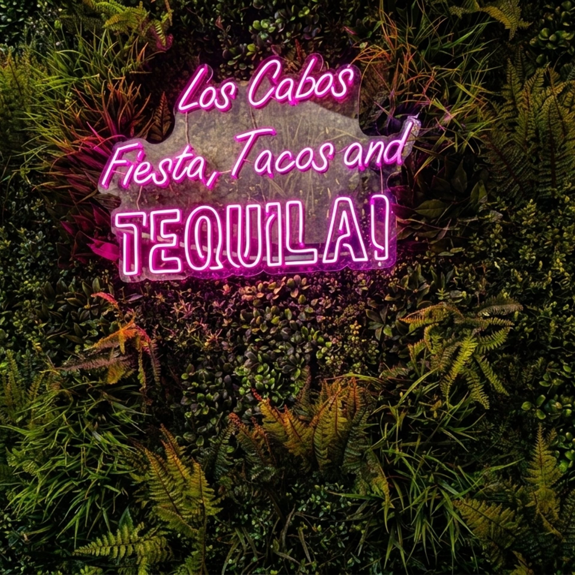 Welcome to Los Cabos!
